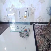 اکواریوم شیشه خم شرکتی