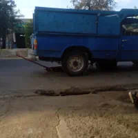 خرید وهرس چوب باغی