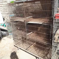 قفس شیش خون وهشت خون|لوازم جانبی حیوانات|قم, تعویض پلاک|دیوار