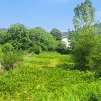فروش زمین روستای کیاده نزدیک دریاچه الندان