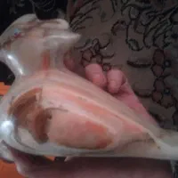 چندین مجسمه سنگی و شب چراغ زیرخاکی