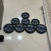 صفحه و میل هالتر دور لاستیک