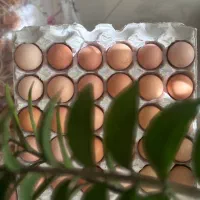 تخم‌مرغ محلی شکسته مخصوص حلوا زرده