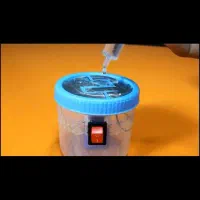 هنری ودستی|مجسمه، تندیس، ماکت|سنقر, |دیوار