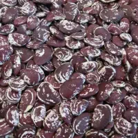 لوبیا عروس درجه یک