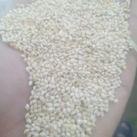 ارزن فروشی