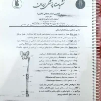 جزوه آناتومی اندام تحتانی علوم پزشکی ایران