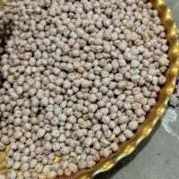 نخود آبگوشتی درجه یک|خوردنی و آشامیدنی|دوزین, |دیوار