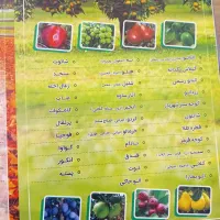 پکیج 5 عدد نهال میوه فقط 350 تومن|خدمات باغبانی و درختکاری|قزوین, |دیوار