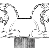 همکار در طراحی اپلیکیشن