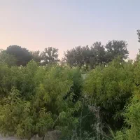 باغچه-چهاردیواری-شده-در-2-قدمی-پایتخت