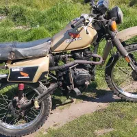 تریل سالم اماده