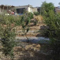 باغچه ۳۰۰متری|فروش خانه و ویلا|ماهدشت, |دیوار