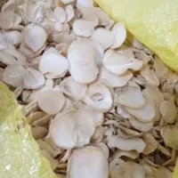 موسیر