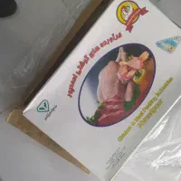 شنیسل سینه ممتاز استیکی