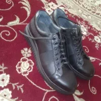 کفش زارا سایز۴۴