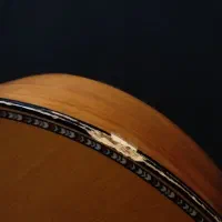 گیتار Dalahu با کاور|گیتار، بیس، امپلیفایر|بجنورد, |دیوار