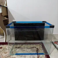 آکواریوم شیشه خم شرکتی