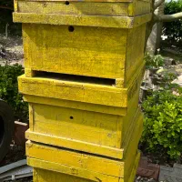 فروش کندو زنبور عسل