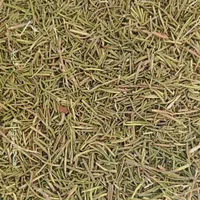 رزماری خشک تمیز