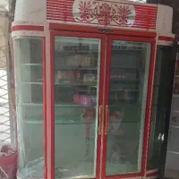 یخچال بستنی ویک در.  دودر