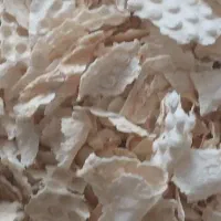 ضایعات نان