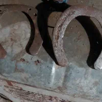 نعل اسب