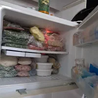 یخچال دوو کاملا سالم و بی نقص درحد نو|یخچال و فریزر|رشت, باهنر|دیوار