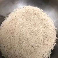 فروش برنج طارم هاشمی بدون واسطه