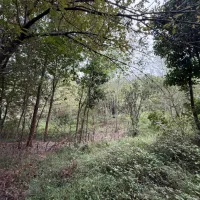 زمین مسکونی