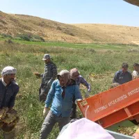 دستکاه افتاب کردان|ماشین‌آلات صنعتی|بیجار, |دیوار