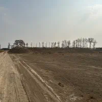 یک هکتار زمین با ۳ساعت اب و..به فروش میرسد|فروش زمین و ملک کلنگی|تنکمان, |دیوار