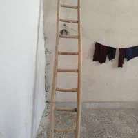 الوار و نردبان
