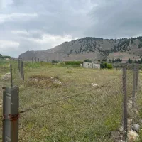 زمین باغی