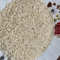 برنج عنبر بو تیلکی شوشتر گلالک|خوردنی و آشامیدنی|شوشتر, |دیوار