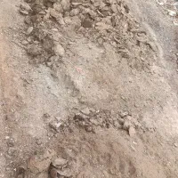 کود گوسفندی تازه|لوازم جانبی حیوانات|شراء, |دیوار