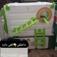 لانه پرنده مدل۱۹۳۰
