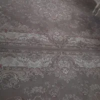 فرش ماشینی|فرش|قم, پردیسان|دیوار