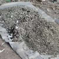 فضله کبوتر|پرنده|رضویه, |دیوار