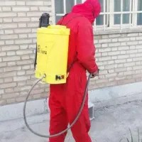 سمپاشی سم پاش ساس سوسک کنه موش تضمینی تمام نقاط