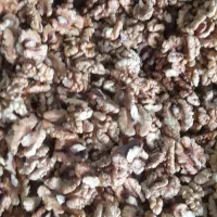 گردو درجه یک مخصوص چله|خوردنی و آشامیدنی|آذرشهر, |دیوار