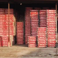 فروش فوق العاده پکیج و کولر گاری ایران رادیاتور|آبگرمکن، پکیج، شوفاژ|نجف‌آباد, امام خمینی|دیوار