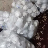 لامپ ۶۰ وات بدون کارتن عمده