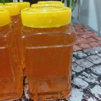 عسل|خوردنی و آشامیدنی|شهرکرد, |دیوار