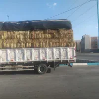 کاه سیفال گندم