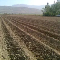 2هکتار-زمین-کشاورزی-تهران