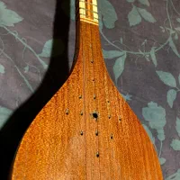 سه تار  استاد ژاله