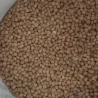 نخود بهاره درجه 1