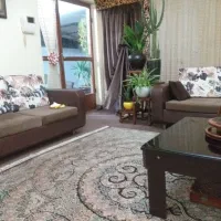 پرده|پرده، رانر، رومیزی|قائم‌شهر, |دیوار