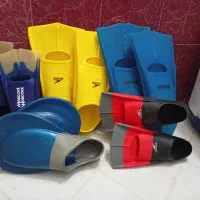 فین شنا از آموزشی تا قهرمانی